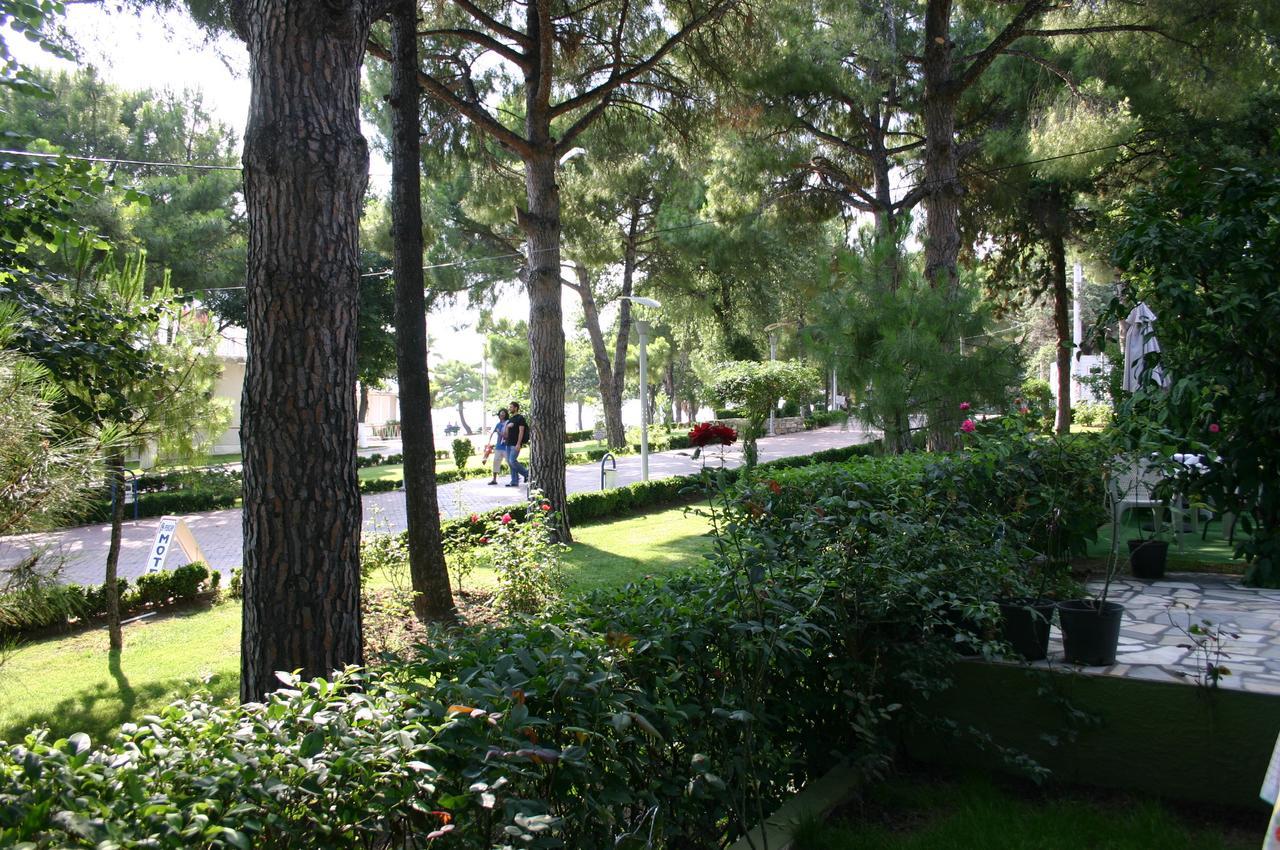 Pekcan