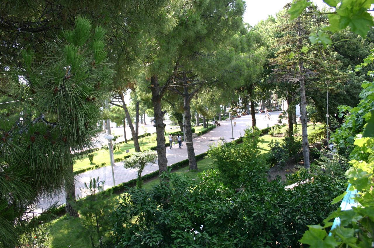 Pekcan 2*